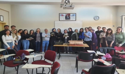 Üniversite öğrencileri doğada tekrar kullanılabilir malzemelerle teraryum hazırladı