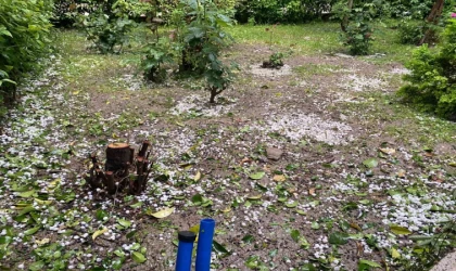 Üreticiyi donun ardından dolu vurdu