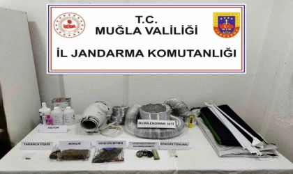 Uyuşturucu operasyonunda 1 gözaltı