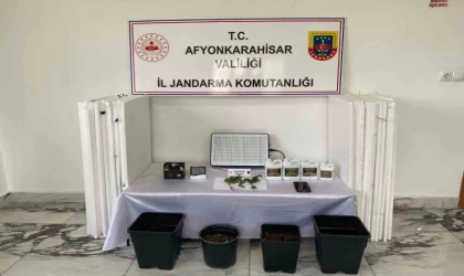 Uyuşturucu operasyonunda 1 kişi gözaltına alındı