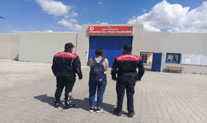 Uyuşturucu suçundan hapis cezasıyla aranan şahsı jandarma yakaladı