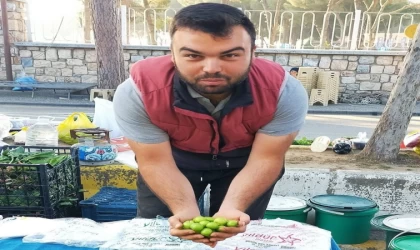 Vazgeçilmez yaz meyvesi erik tezgahlarda yerini aldı