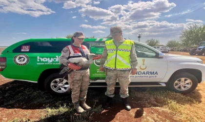 Yaralı leylek tedavi altına alındı