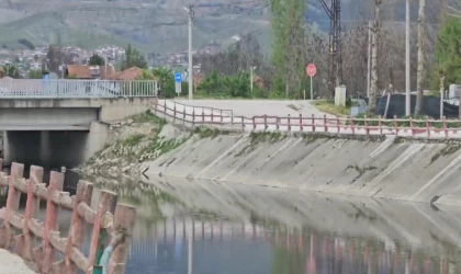 Yeşilırmak Nehri’nde balık ölümleri incelemeye alındı