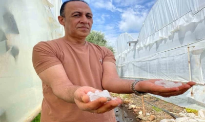 Yıldırım düşmesi sonucu yanan ağacı da yine dolu yağışı söndürdü