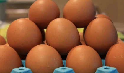 Yumurtada fiyatlar düşünce ihracatta fon kesintisinin kaldırılması istendi