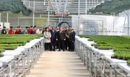 200 bin fide Erzincan’ın topraklarıyla buluşturuluyor