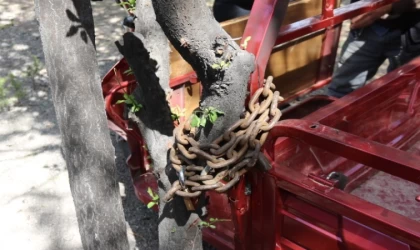 4 kilidi kırılıp çalınan motosikletini bu kez gemi zinciriyle bağladı