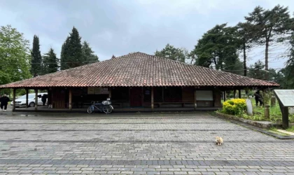 8 asırlık ahşap camide kokarca istilası