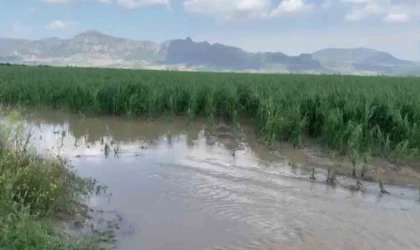 Adana’da şiddetli yağmur ve dolu, tarım ürünlerine zarar verdi