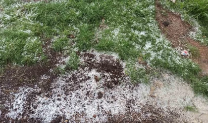 Afşin’de dolu tarım arazilerine zarar verdi