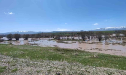 Ağrı’da Murat Nehri taştı araziler sular altında kaldı