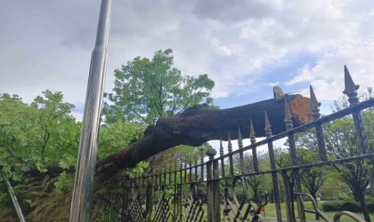 Ankara’da fırtına ağaçları devirdi