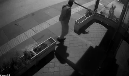 Ankara’daki kedi hırsızlığı kameraya yansıdı