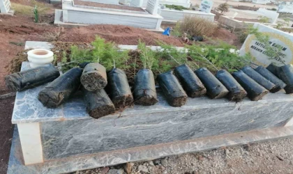 Anneler Günü’nde mezarlıkları yeşillendirdiler