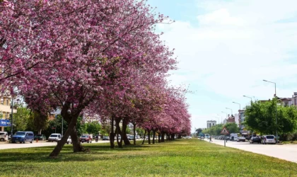 Antalya yaz renklerine bürünüyor