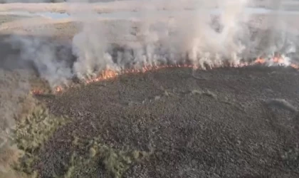 Arazide yakılan ateş yayıldı: 60 dönüm arazi zarar gördü