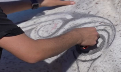 Atın tüylerinden sanat eseri oluşturdu