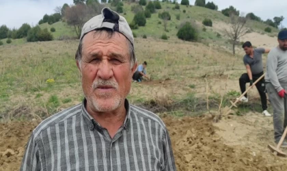 Bağlar elbirliğiyle belleniyor