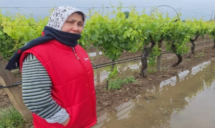 Bahar yağmurları üreticiyi sevindirdi