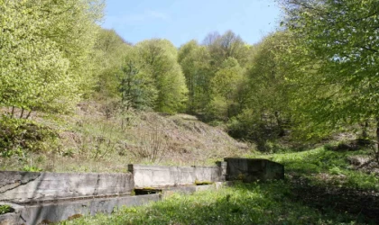 Baharın gelmesiyle doğanın güzelliği görenleri hayran bırakıyor