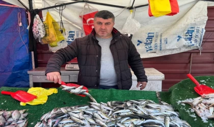 Balık sezonu bitmesine rağmen tezgahlarda hareketlilik sürüyor