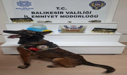 Balıkesir’de uyuşturucu operasyonu