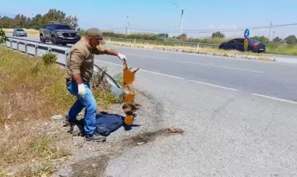 Başkan Sürücü: ”Çok nadir ve önemli bir türü daha kaybettik”