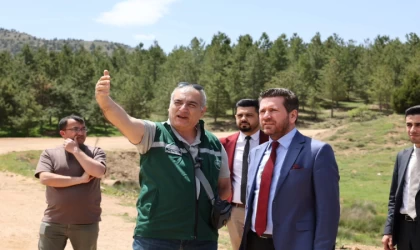 Başkan Tatık, Tavas’ı yayla turizmiyle tanıştırmak için kolları sıvadı