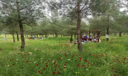 Batman’daki Malabadi Tabiat Parkı’na yoğun ilgi