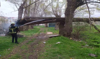 Bayburt’ta yıldırım düşen ağaç ikiye bölündü