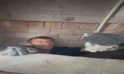 Bina boşluğuna düşen yavru kedi itfaiye ekiplerince kurtarıldı