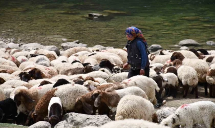 Bir çocuğun sessiz çığlığı: ”Hiç oyuncağım olmadı”