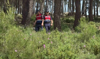 Bodrum’da ormanlara giriş yasaklandı, jandarma termal dronla kuş uçurtmuyor