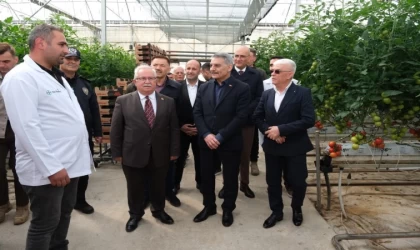 Bozkırın dondurucu soğuğunda üretildiler