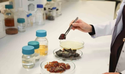 Bu ambalaj ürünlerin raf ömrünü uzatacak