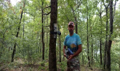 Bursalı doğa tutkunu, yaban hayatını kayıt altına alıyor