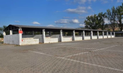 Bursa’nın Yenişehir ilçesinde şap karantinası