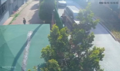 Büyükçekmece’de ‘gürültü yaptınız’ diyen sopalı adam, komşularına dehşeti yaşattı