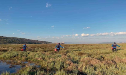 Büyükşehir Belediyesi’nden Güllük Mahallesi’nde 60 hektar alanda ilaçlama