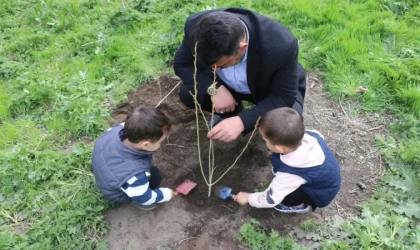 Camii bahçesi fidanlarla şenlendi