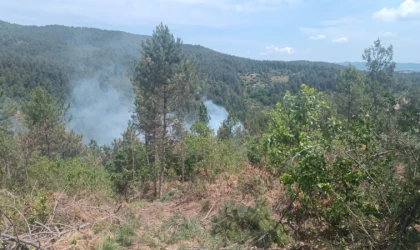 Çanakkale’de orman yangını kontrol altına alındı