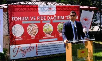 Çiftçilere domates fidesi dağıtımı yapıldı
