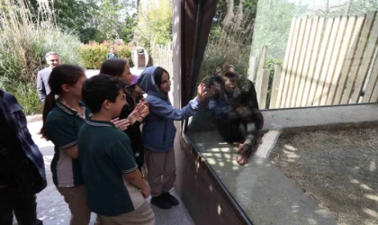 Çocuklar hayvanat bahçesini gezdi