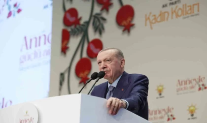 Cumhurbaşkanı Erdoğan: ”Terörsüz Türkiye hedefine giden yolda sağlam adımlarla ilerliyoruz”