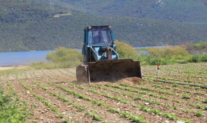 Devlet çiftçiye ”ekin” diyor, DSİ ekili alanları düzlüyor