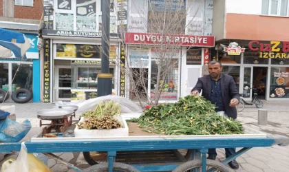 Diyadin’de baharın müjdecisi ışkın ve çiriş tezgahları süslüyor