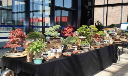 Doğa ve sanat tutkunları bonsai sanatı ile tanıştı