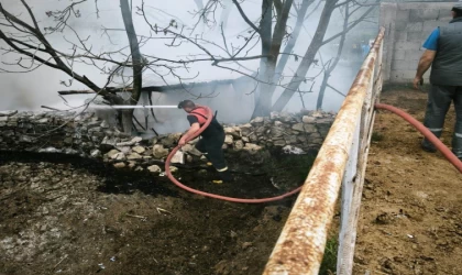 Domaniç’te çıkan yangında 100 tavuk telef oldu
