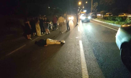 Domuz sürüsüne çarpan motosiklet sürücüsü ağır yaralandı